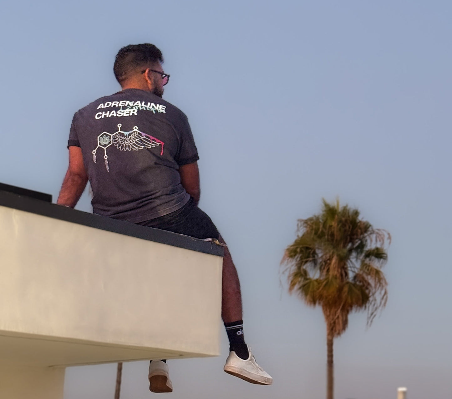 Person sitting on a rooftop with a cityscape and palm trees in the background
